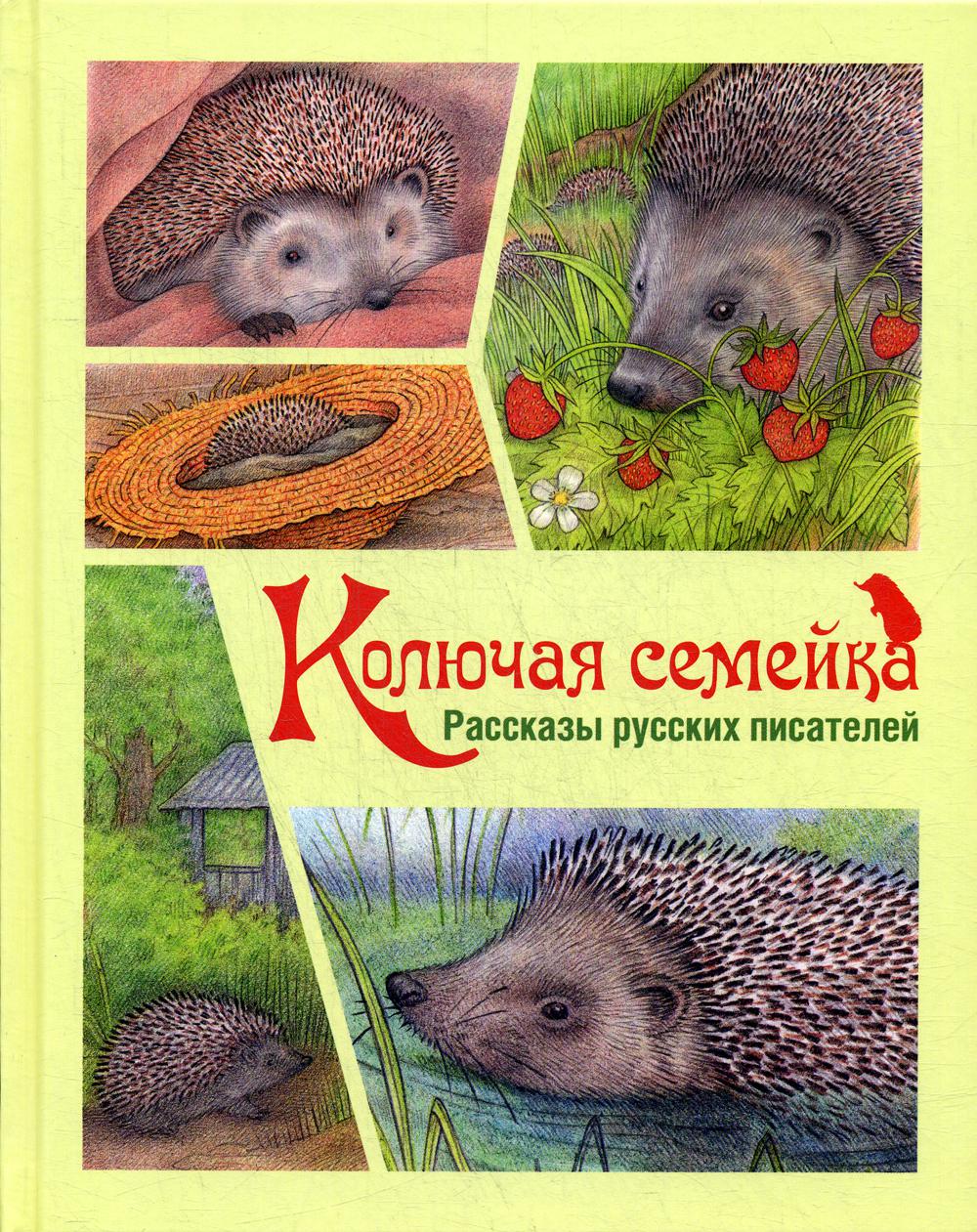 фото Колючая семейка энас-книга