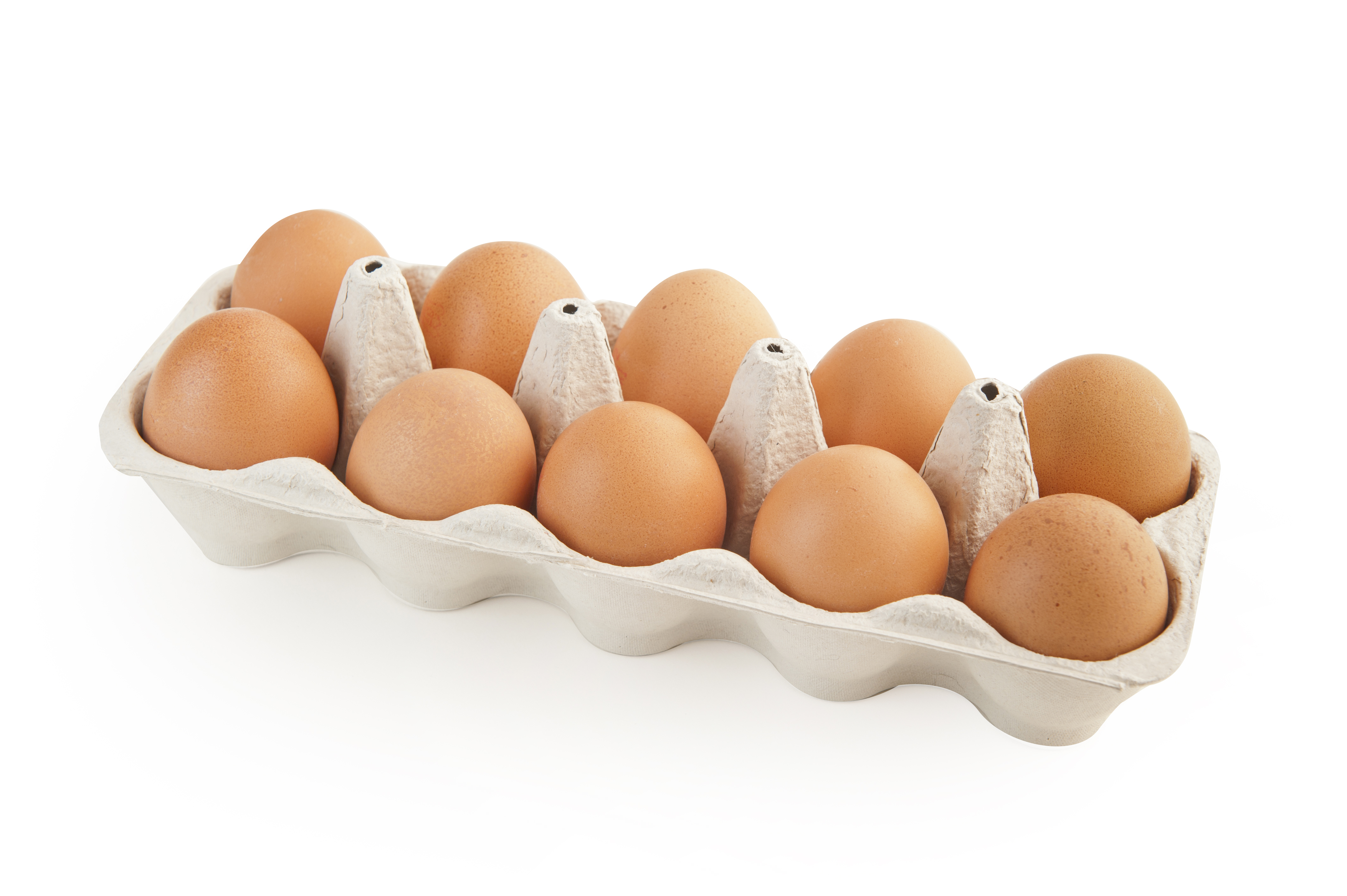 Белки яиц купить. Яйцо молочного цвета. Яйцо в стене. Контейнер похожий на курицу для яиц игрушка. Белок в банки от яиц зеленая линия.
