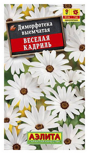 

Семена диморфотека Аэлита Веселая кадриль 00-00586418 1 уп.