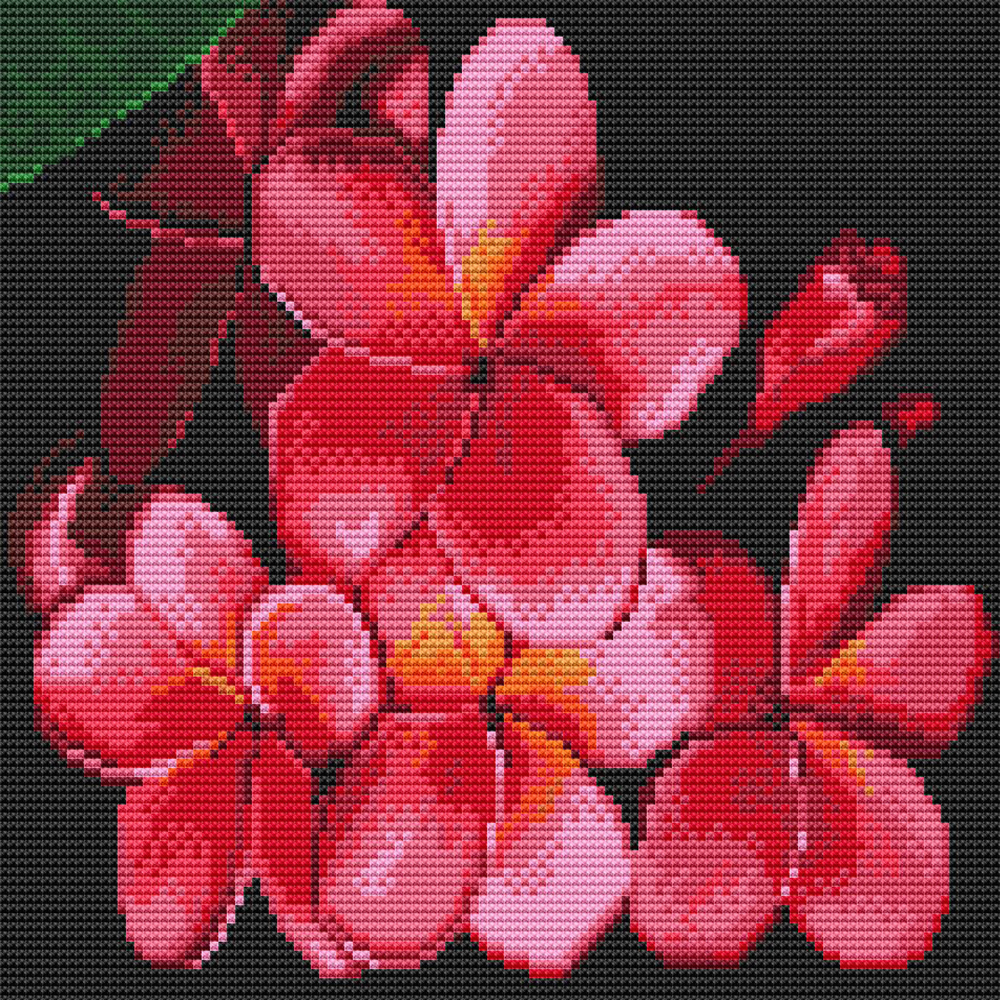 фото Алмазная мозаика molly цветок лаоса сильвертойз