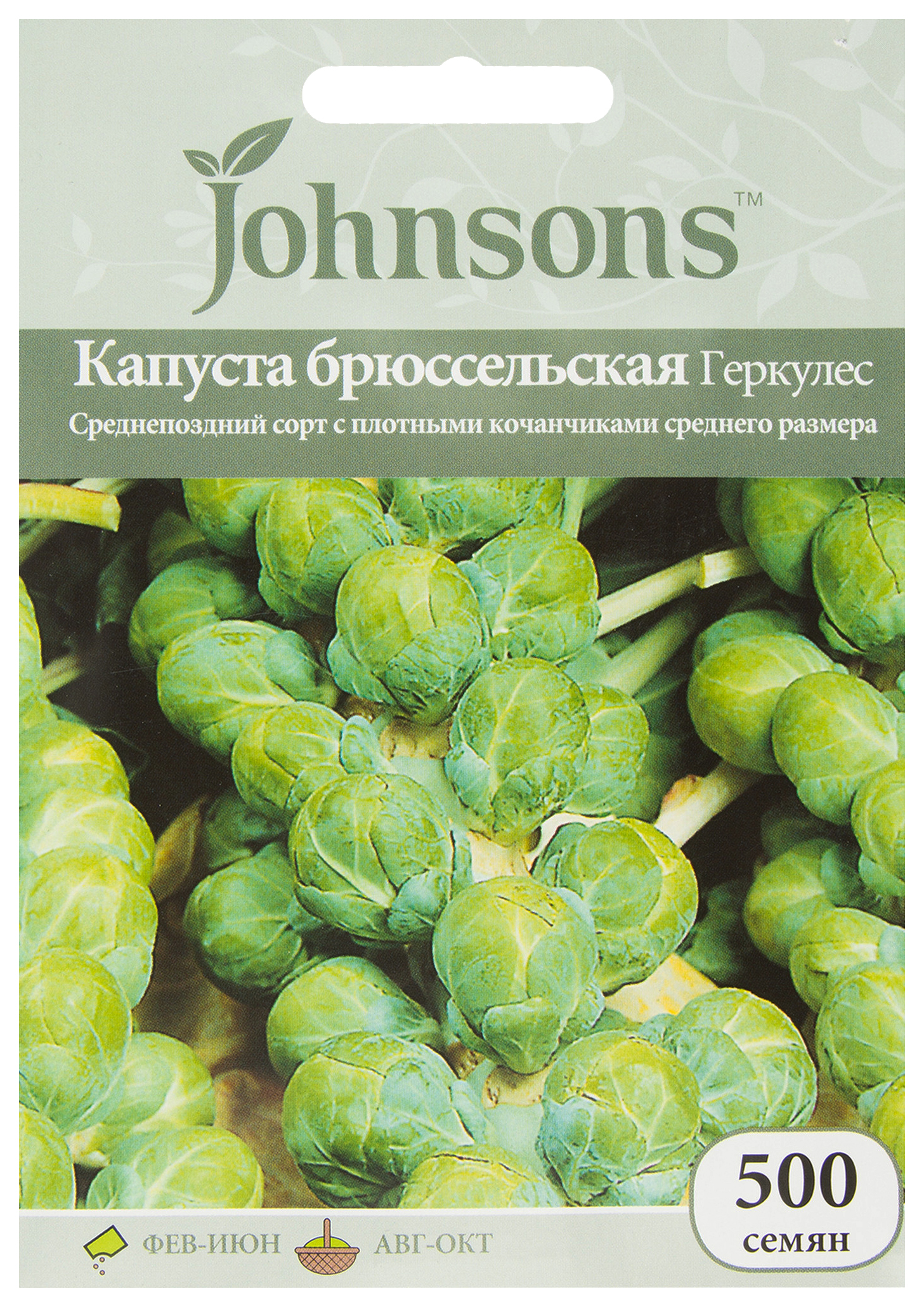 

Семена. Капуста брюссельская "Геркулес", среднеспелая (500 штук)