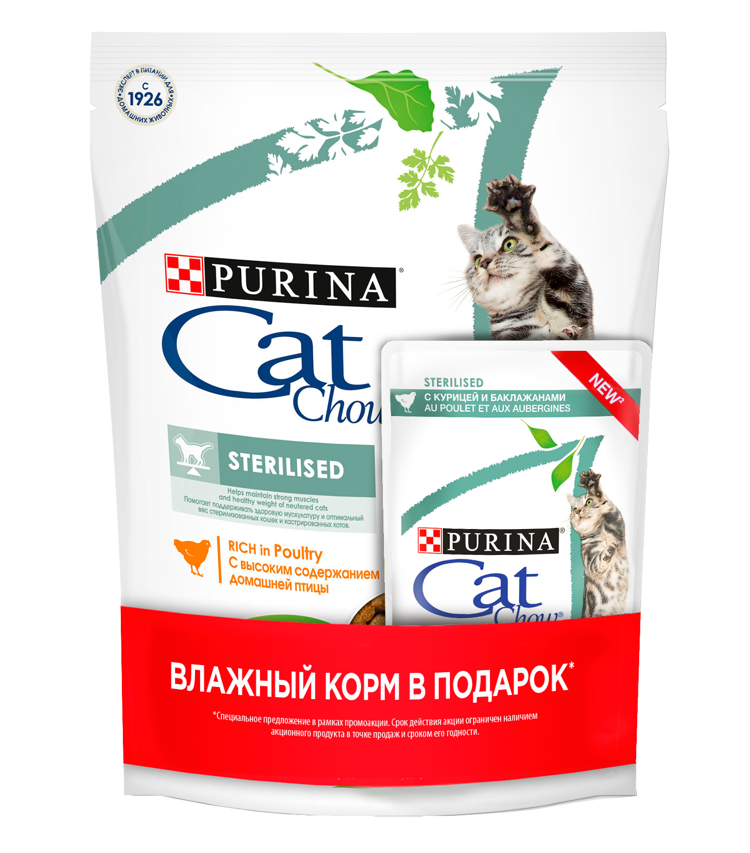 фото Промопак для кошек cat chow сухой корм птица 400г + влажный корм курица и баклажаны 85г