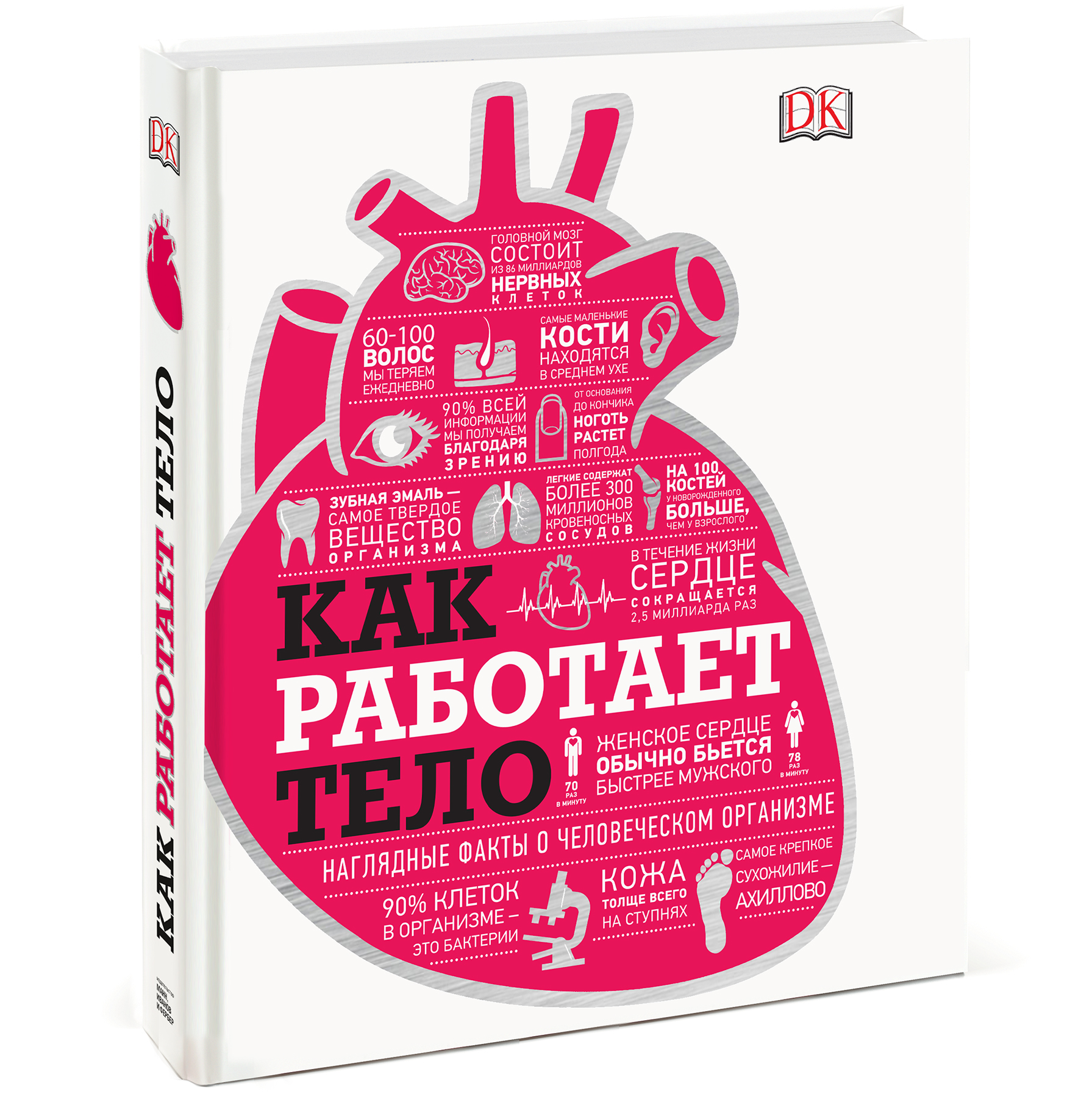 

Как работает тело