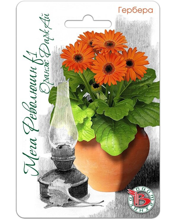 

Гербера горшечная Мега Революшн Оранж Даркт Ай F1, 5 шт.