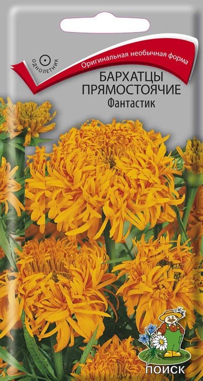 

Семена бархатцы Поиск Фантастик 160539 1 уп.