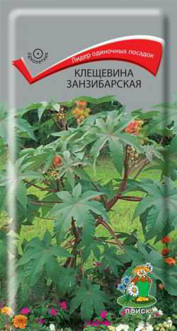 

Семена деревьев и кустарников Поиск 290553 Клещевина занзибарская 3 г