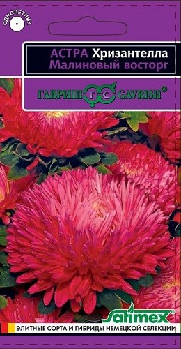 

Семена астра Гавриш Хризантелла малиновый восторг 1070008067 1 уп.