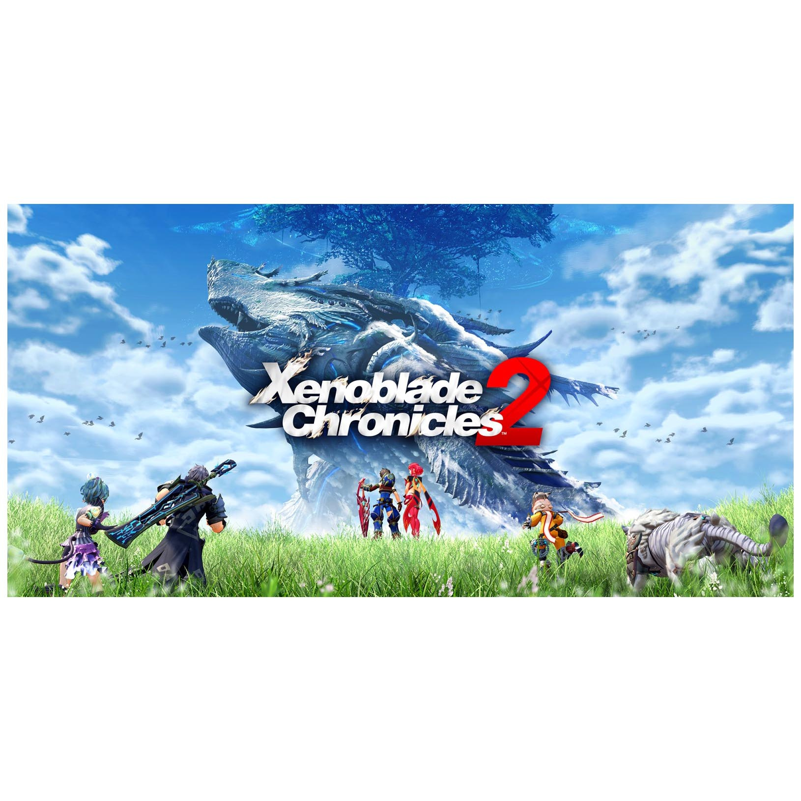 Игра Xenoblade Chronicles 2 Стандартное издание для Nintendo Switch