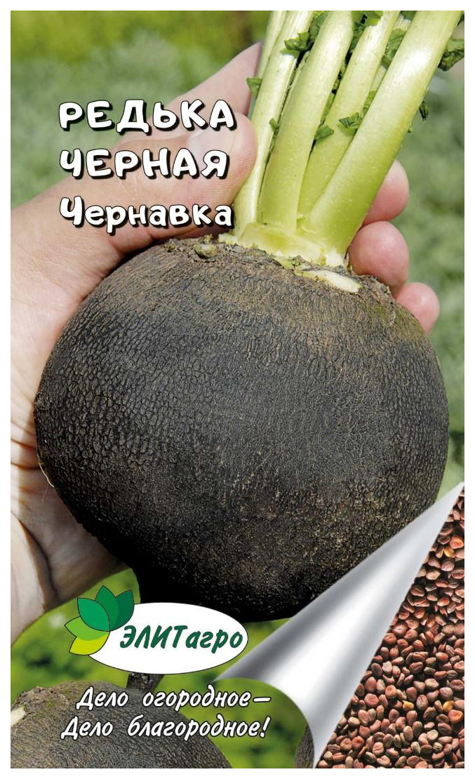 Семена Черной Редьки Купить