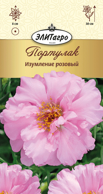 

Семена цветов Элитагро Портулак Изумление розовый однолетник 0,05 г