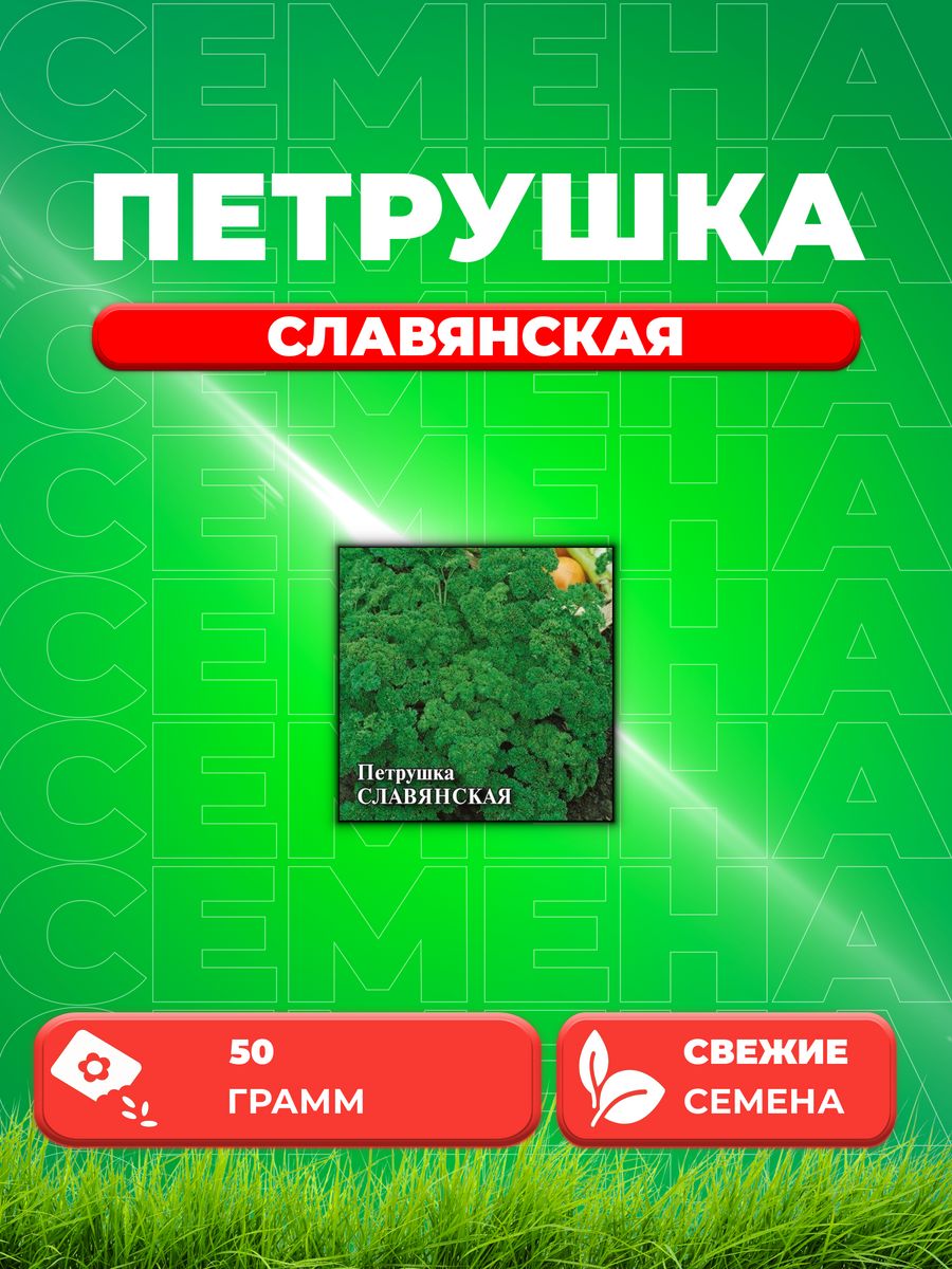 

Семена Петрушка кудрявая Славянская 50,0 г