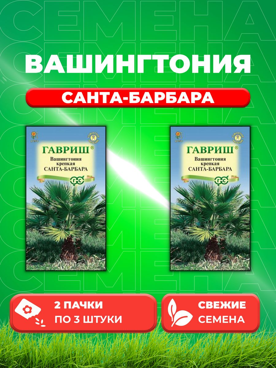 

Семена Вашингтония крепкая Санта-Барбара 3 шт.2уп