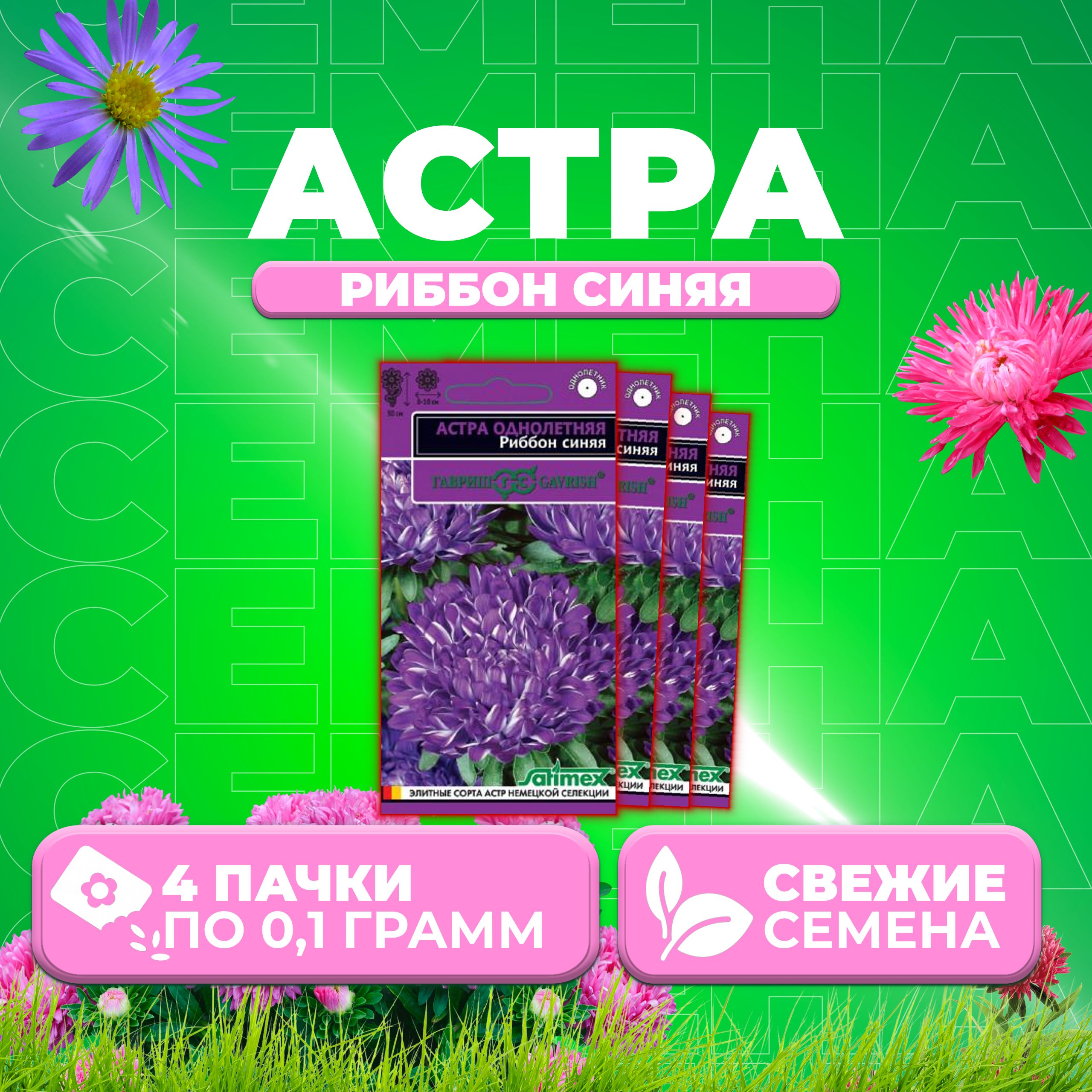 

Семена Астра Риббон синяя, пионовидная, 0,1г, Гавриш, Satimex 4 уп