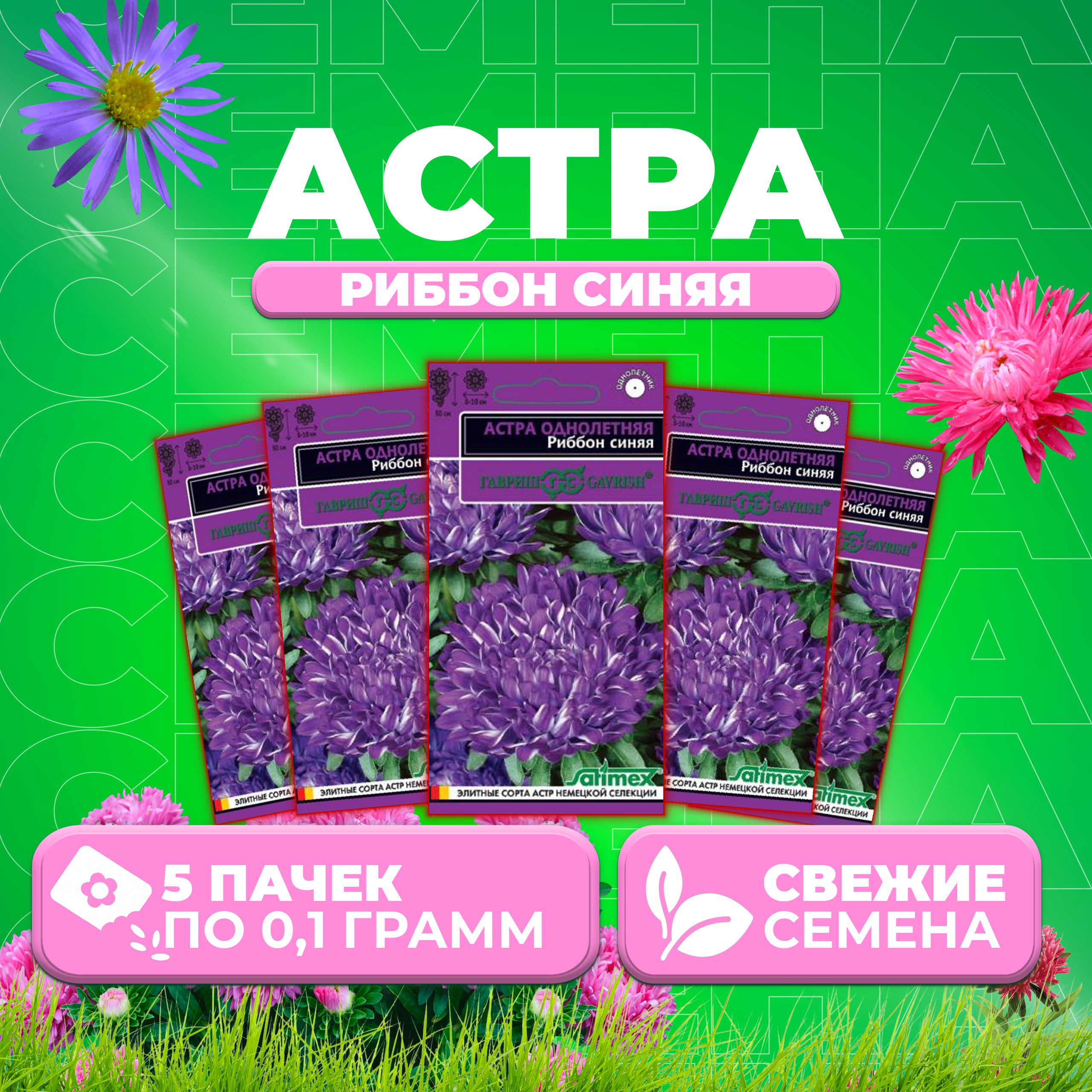 

Семена Астра Риббон синяя, пионовидная, 0,1г, Гавриш, Satimex 5 уп