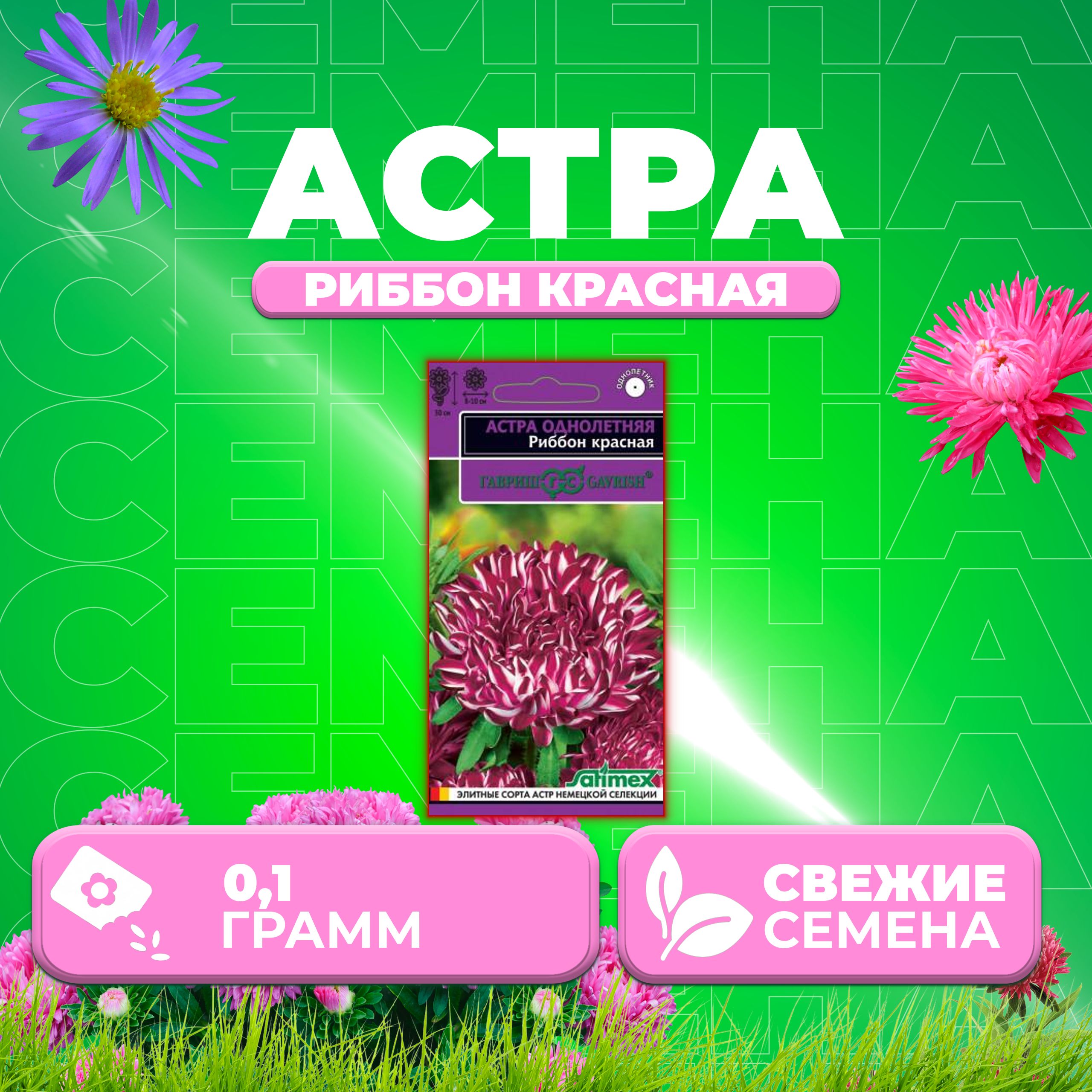 

Семена Астра Риббон красная, пионовидная, 0,1г, Гавриш, Satimex 1 уп