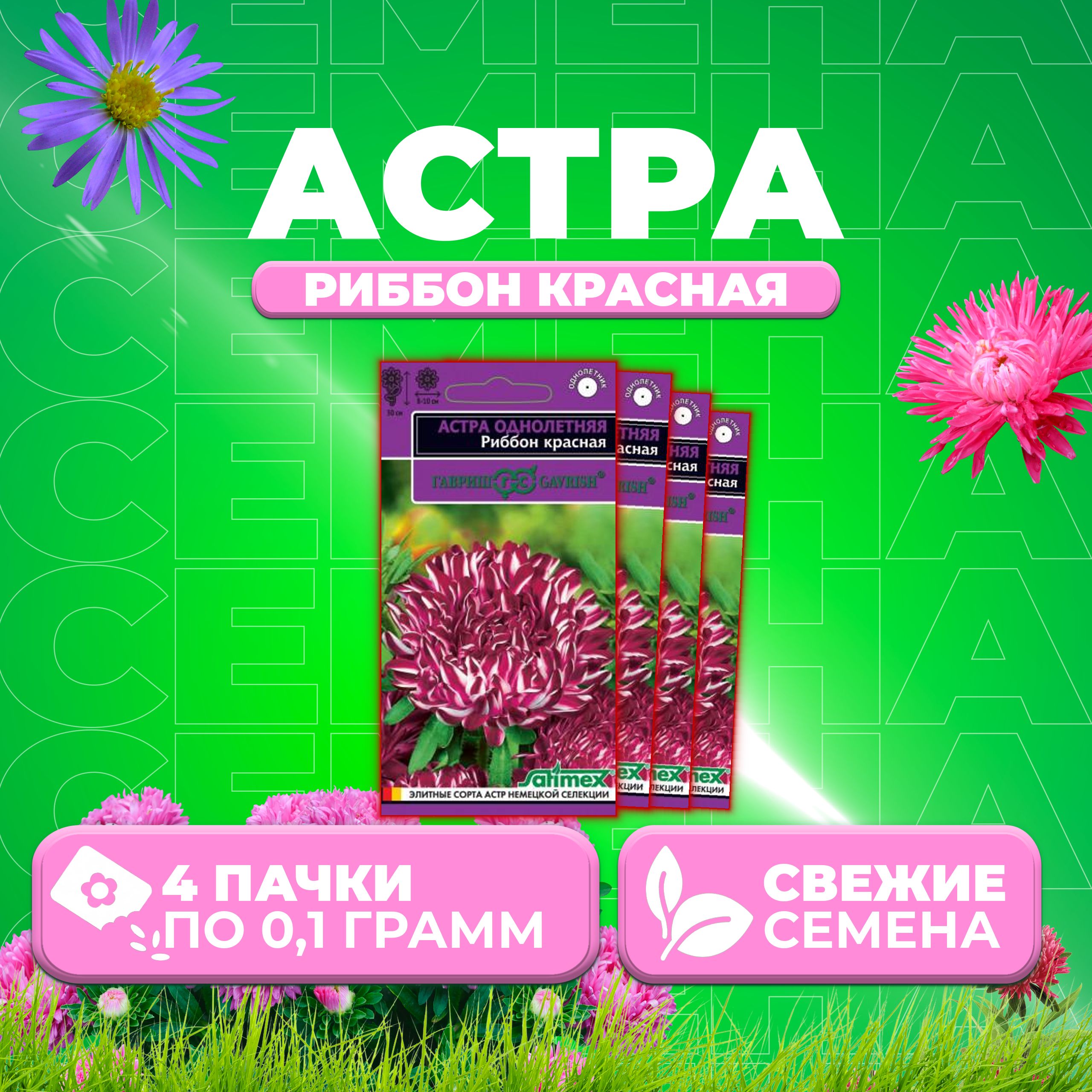 

Семена Астра Риббон красная, пионовидная, 0,1г, Гавриш, Satimex 4 уп