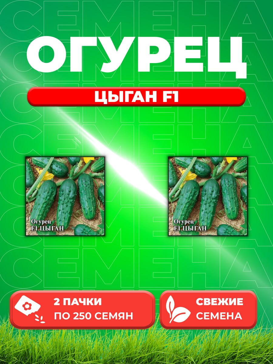 

Семена огурец Цыган F1 Гавриш 10005930-2 2 уп.