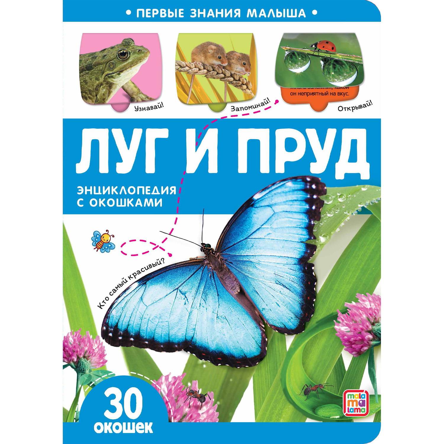 

Malamalama Первые знания малыша Луг и пруд (34668-5)