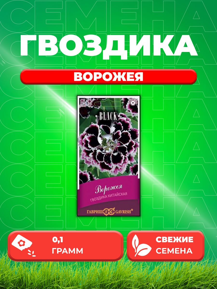 Семена Гвоздика китайская Ворожея, 0,1г, Гавриш, Black