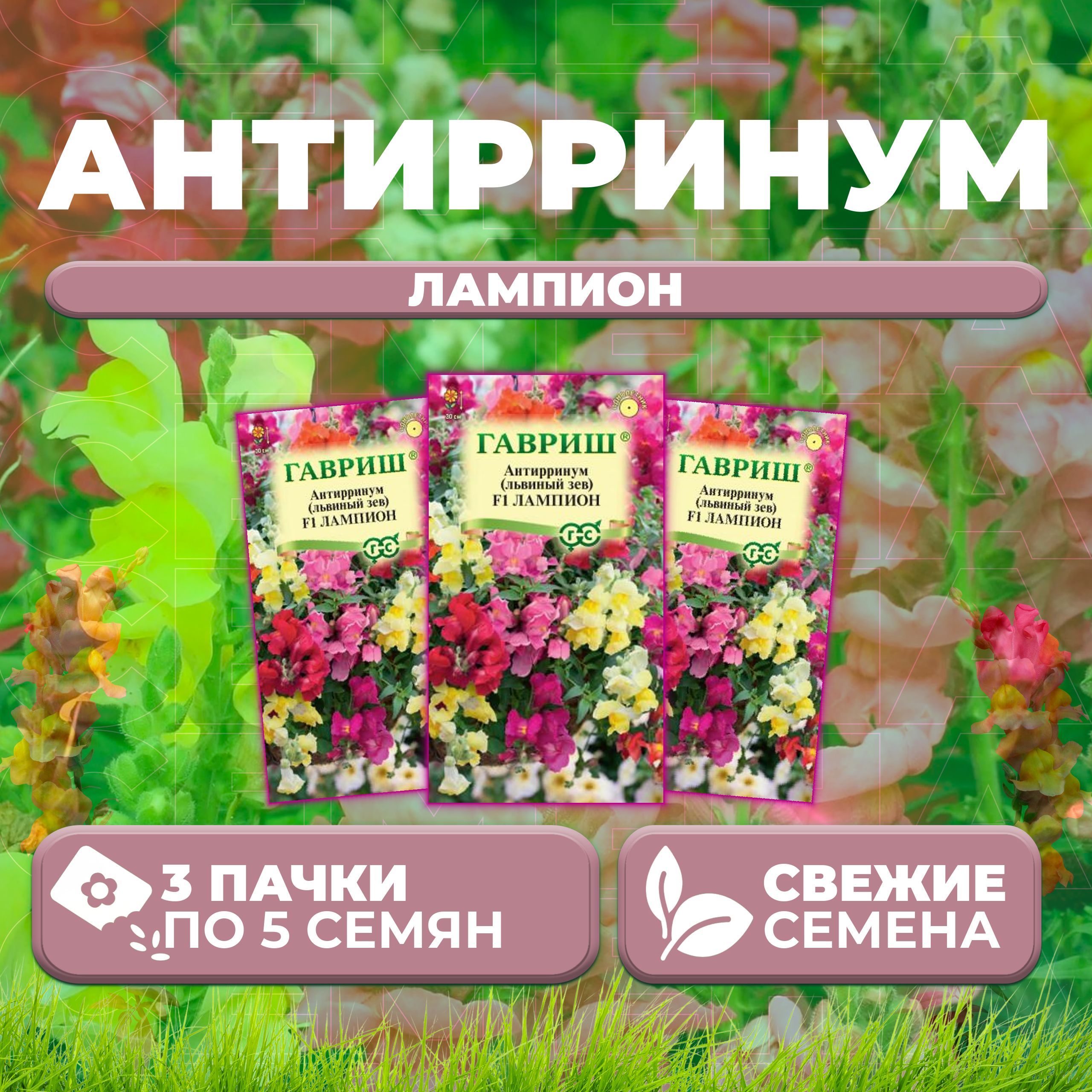 

Семена Антирринум Львиный зев Лампион, смесь, 5шт, Гавриш, Цветочная коллекция 3 уп