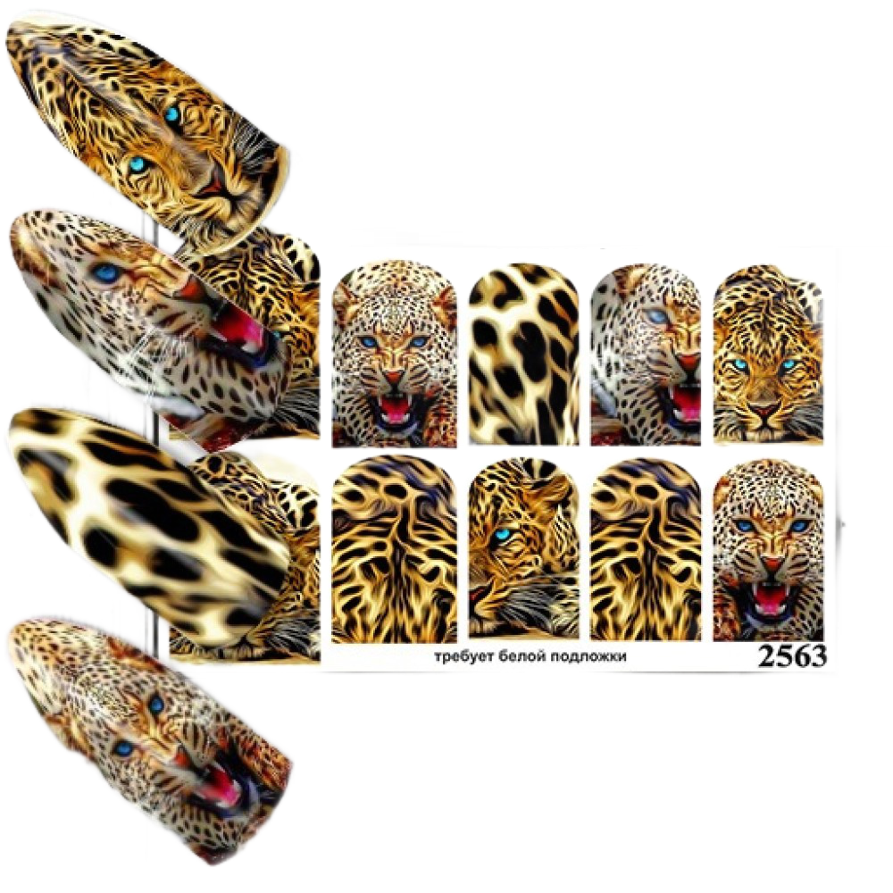 

Слайдер Dak Print 2563
