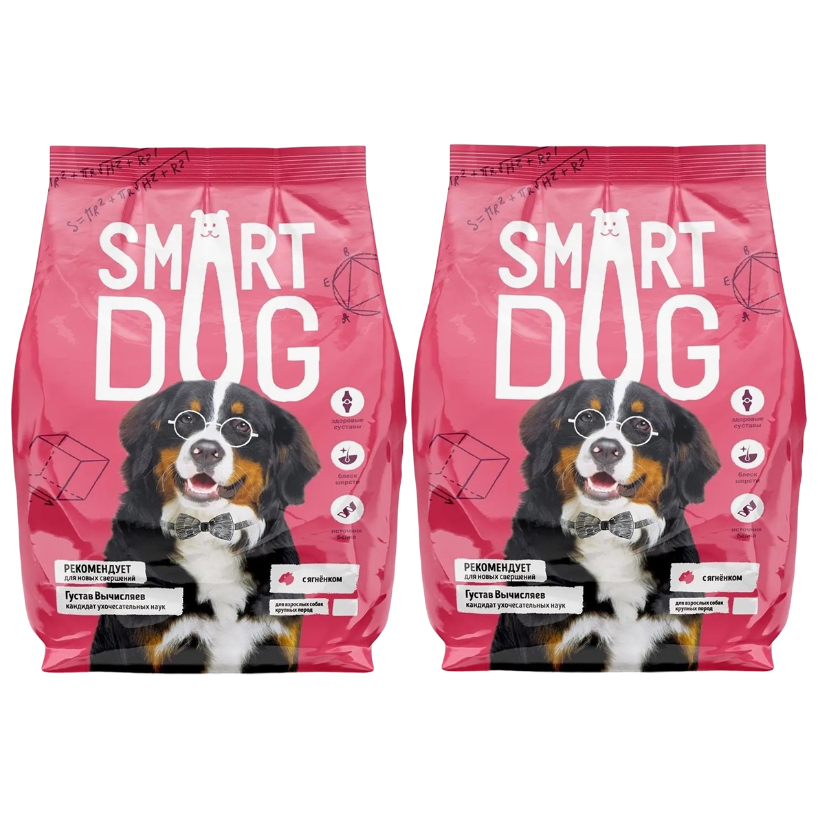

Сухой корм для собак Smart Dog, для крупных пород, с ягненком, 2 шт по 12 кг