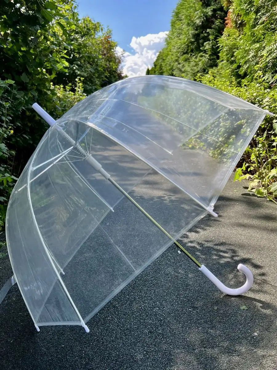 

Зонт женский Universal Umbrella UN123 прозрачный/белый, UN123
