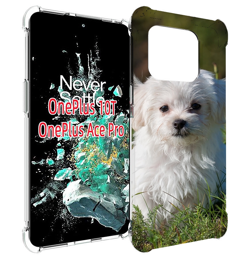 

Чехол MyPads мальтииская-болонка для OnePlus 10T, Прозрачный, Tocco