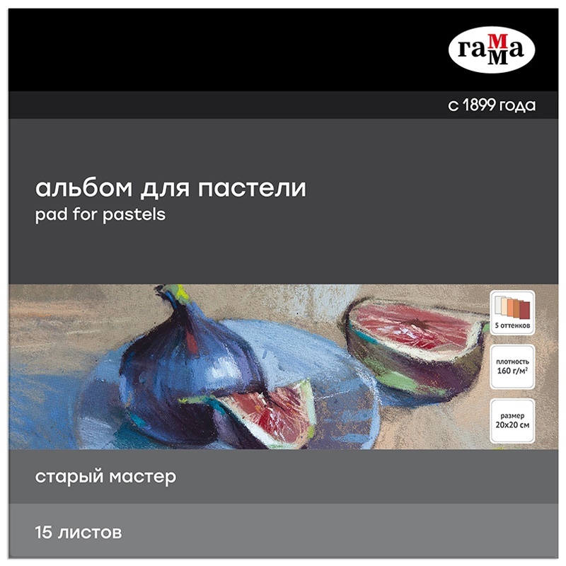 

Альбом для пастели Gamma 215520AGRC 15 л 200х200мм Старый Мастер 5 цв теплые тона