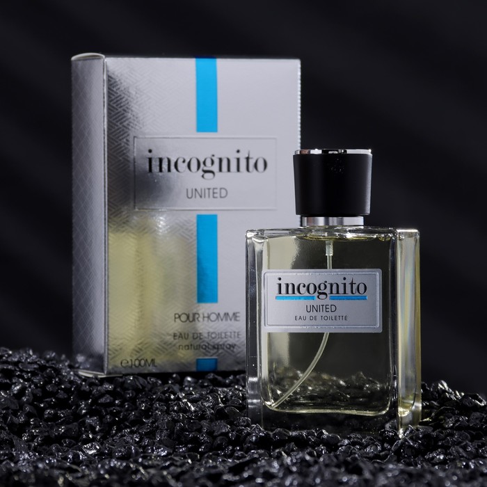 Туалетная вода мужская Art Parfum Incognito United 100 мл туалетная вода женская lady incognito absolute 100 мл 7688617