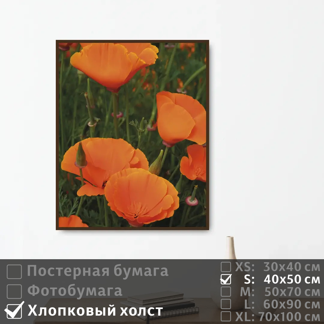 

Постер на холсте ПолиЦентр Летние оранжевые маки 40х50 см, ЛетниеОранжевыеМаки