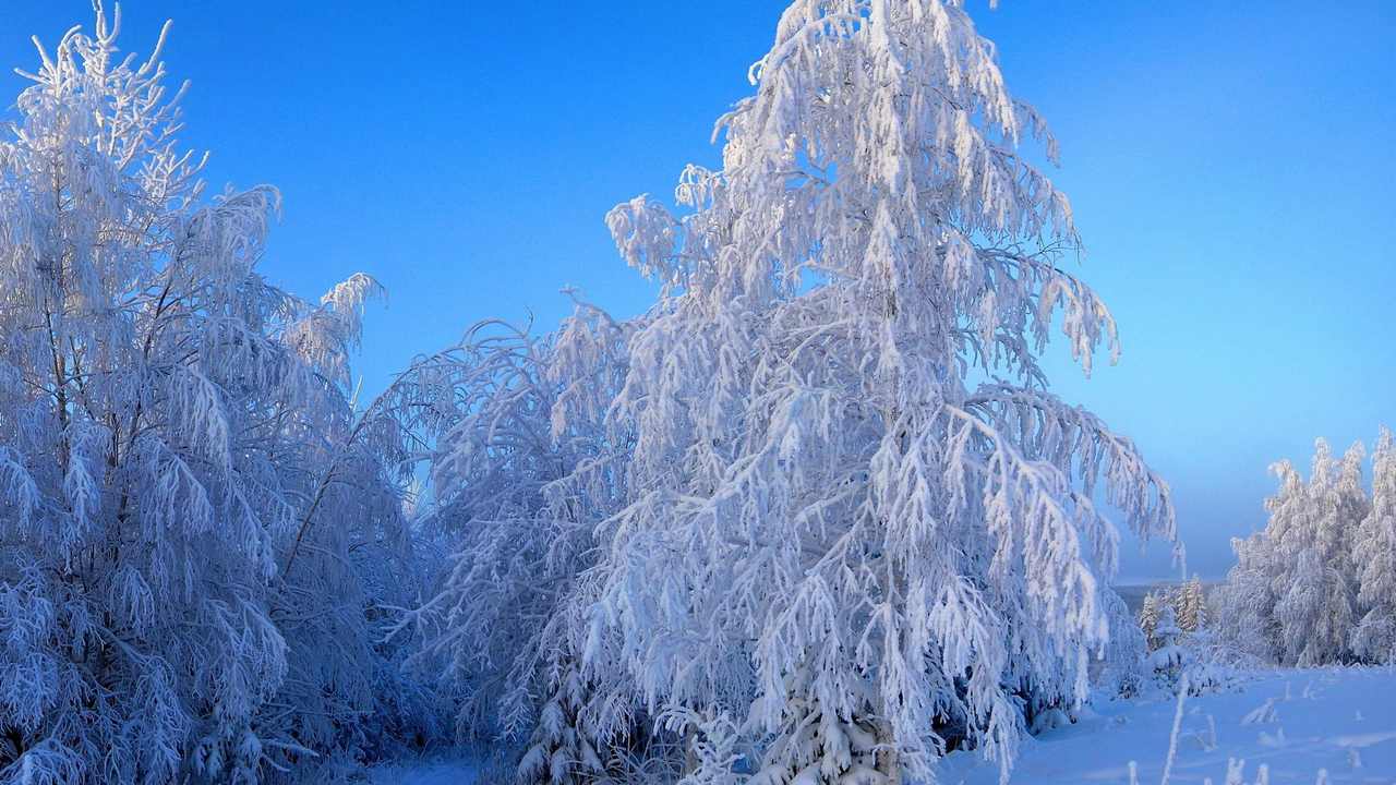 

Картина на холсте 60x110 LinxOne "Природа, пейзаж, натура, флора
