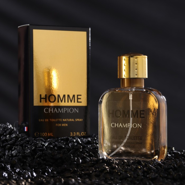 Туалетная вода мужская Homme Champion, 100 мл champion flyx c02