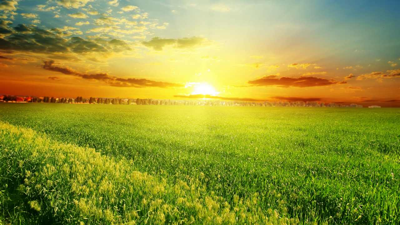 

Картина на холсте 60x110 LinxOne "Природа, пейзаж, натура, флора