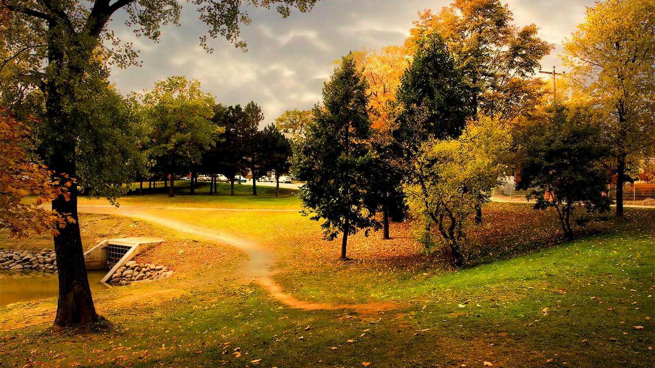 

Картина на холсте 60x110 LinxOne "Природа, пейзаж, натура, флора