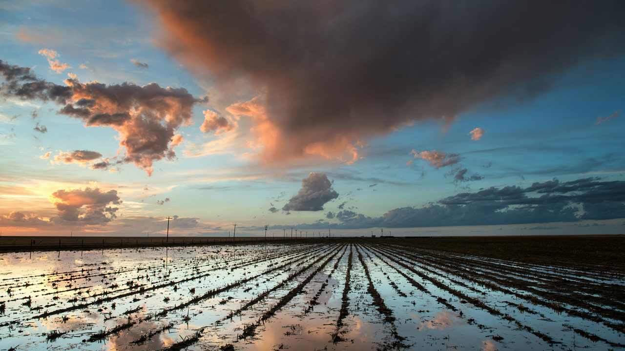 

Картина на холсте 60x110 LinxOne "Природа, пейзаж, натура, флора