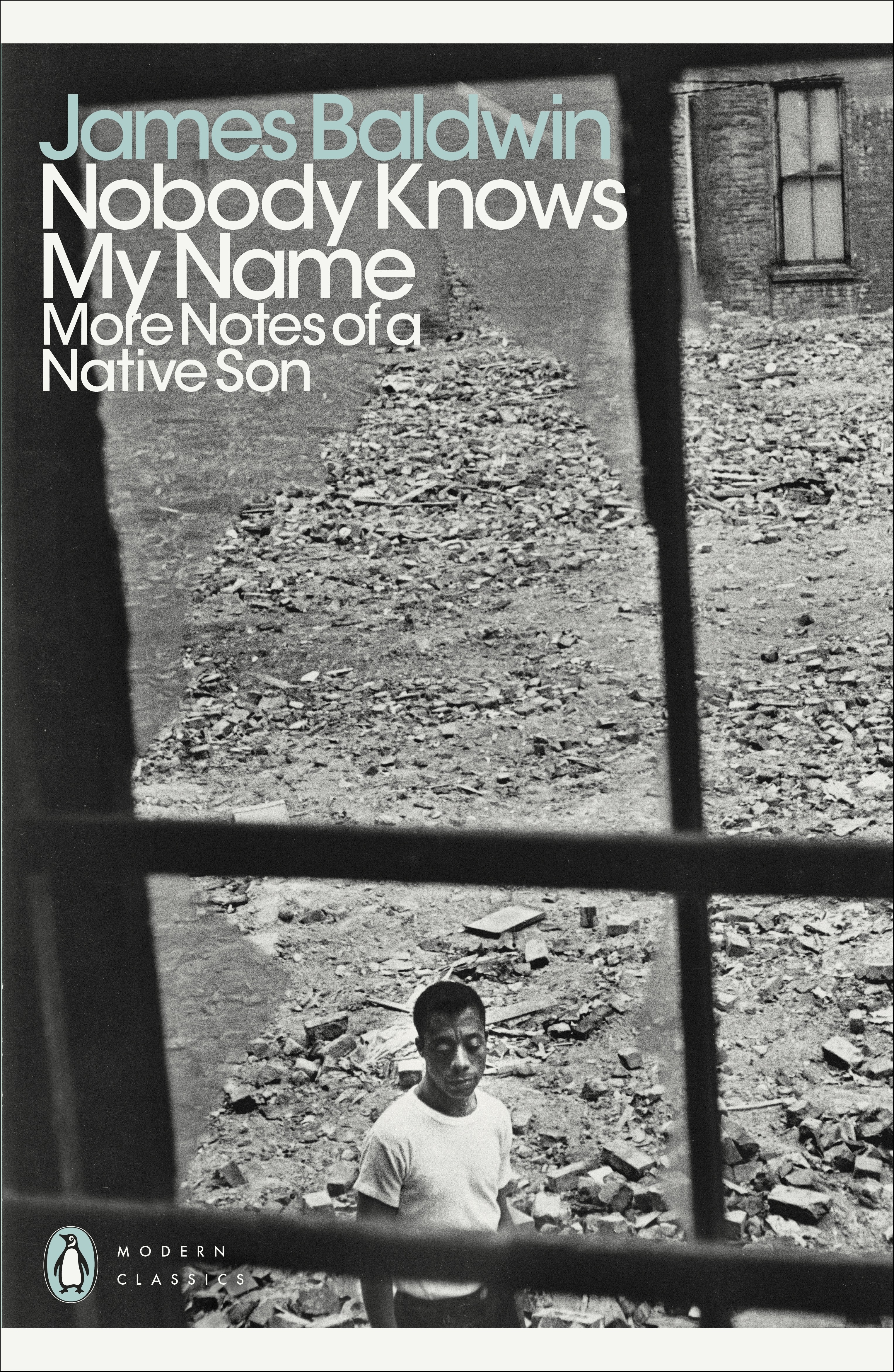 

Nobody Knows My Name. More Notes Of A Native Son