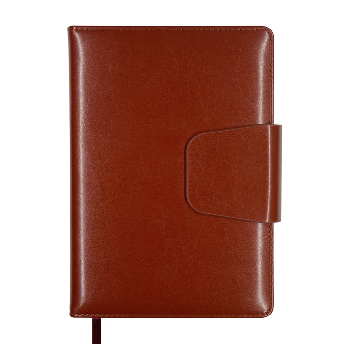 

Ежедневник BrunoVisconti недатированный А5, 160 л Prestige, тёмно-коричневый