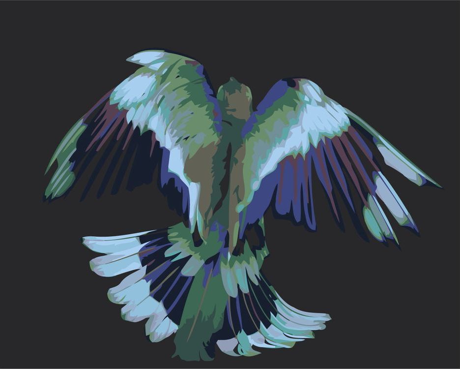 фото Живопись по номерам живопись по номерам сине-зелёная птица 40x50