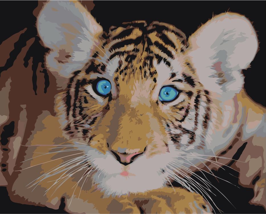 Живопись по номерам Живопись по Номерам Удивлённый тигрёнок 40x50