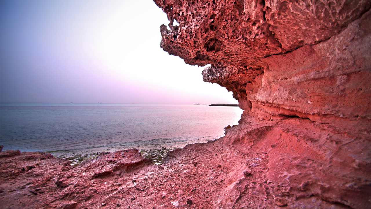 

Картина на холсте 60x110 LinxOne "Природа, пейзаж, натура, флора