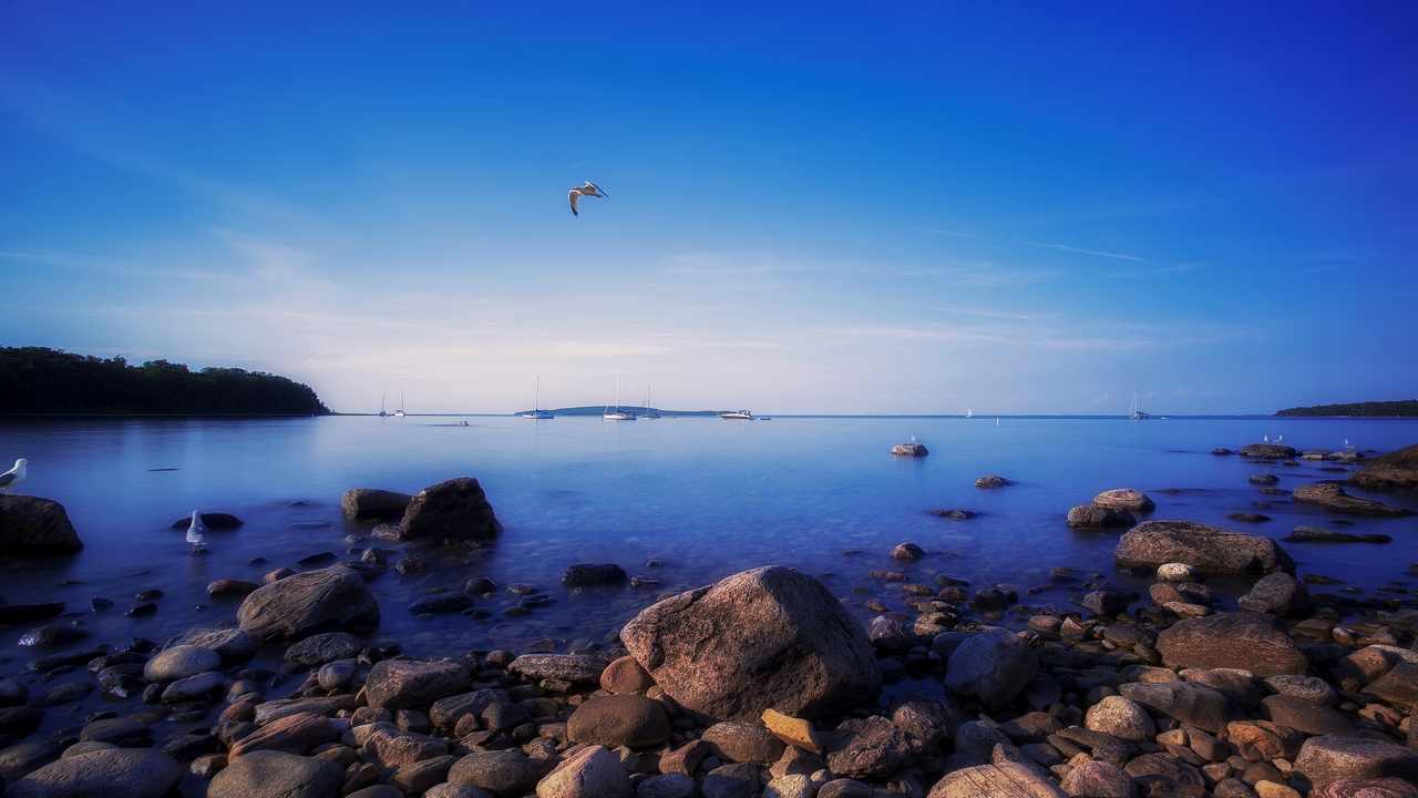 

Картина на холсте 60x110 LinxOne "Природа, пейзаж, натура, флора