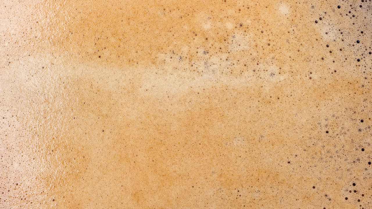 

Картина на холсте 60x110 LinxOne "Природа, пейзаж, натура, флора