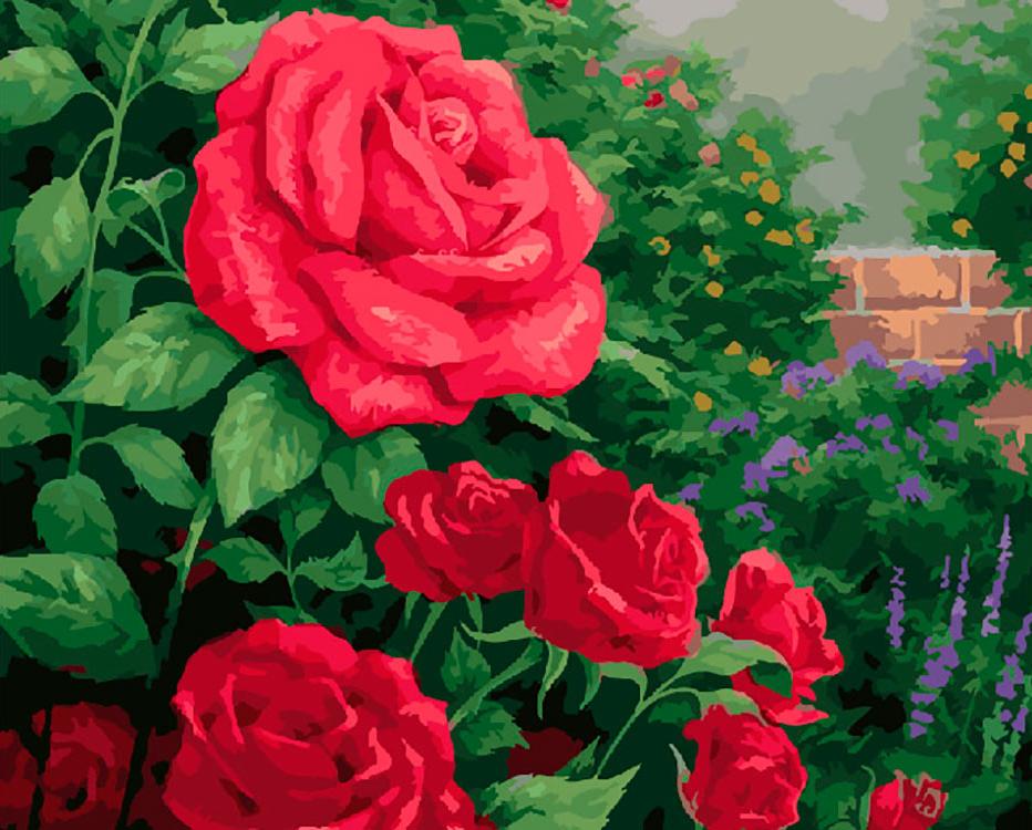 

Картина по номерам ВанГогВоМне Красная роза, 40x50, Красная роза