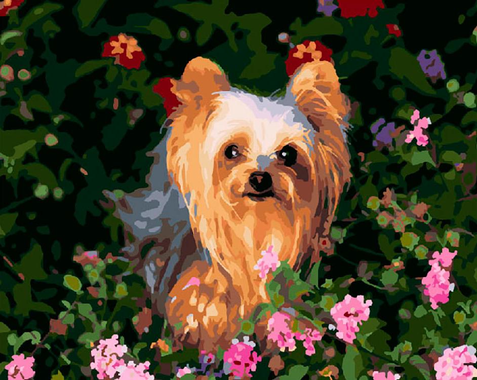 

Картина по номерам ВанГогВоМне Йоркширский терьер в цветах, 40x50, Йоркширский терьер в цветах