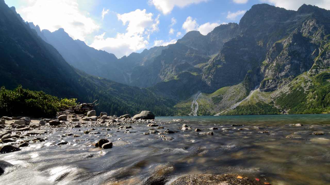 

Картина на холсте 60x110 LinxOne "Природа, пейзаж, натура, флора