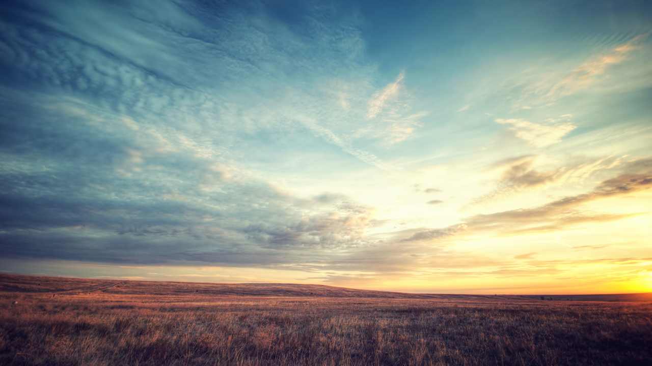 

Картина на холсте 60x110 LinxOne "Природа, пейзаж, натура, флора