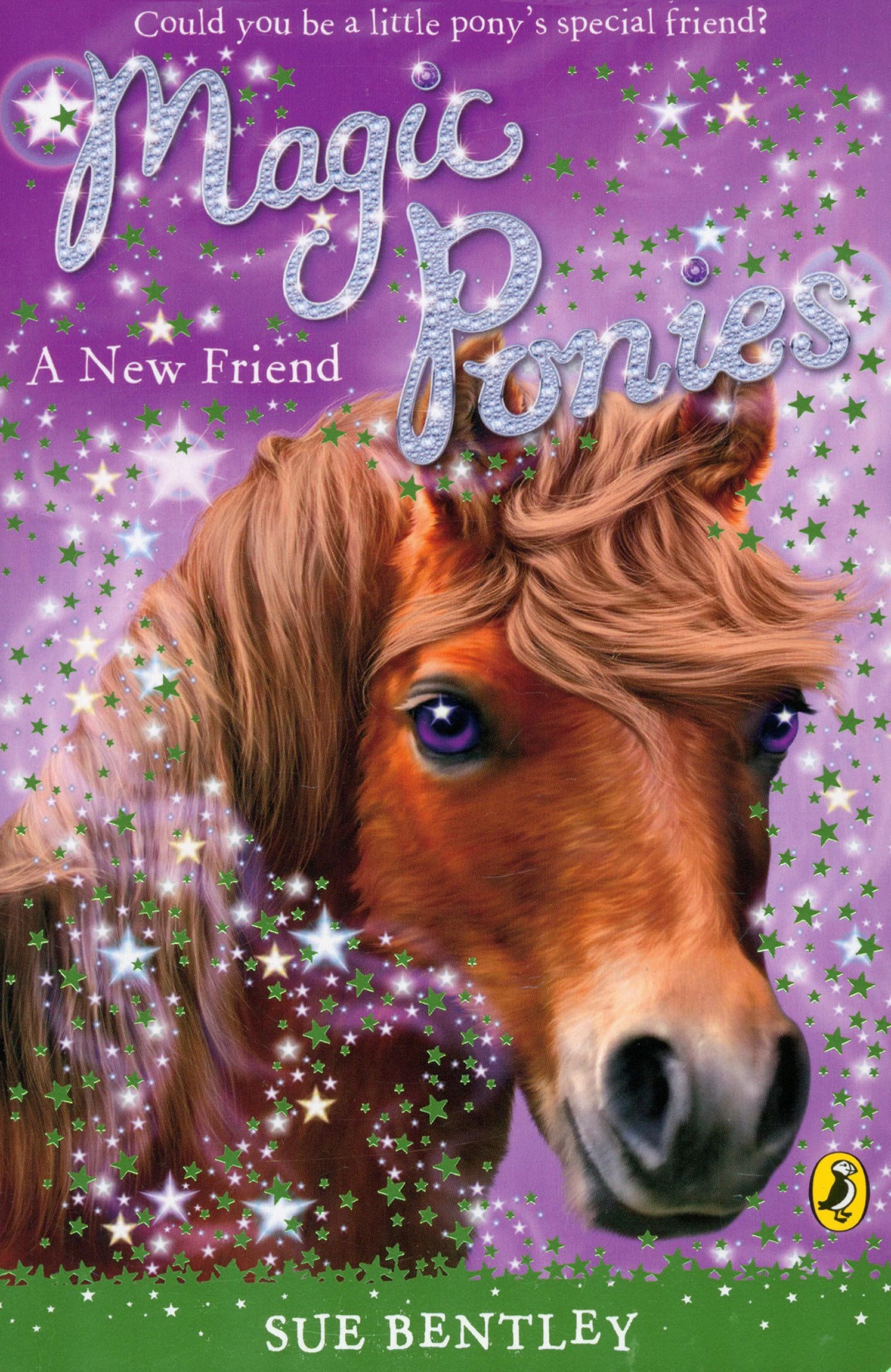 

Magic Ponies A New Friend