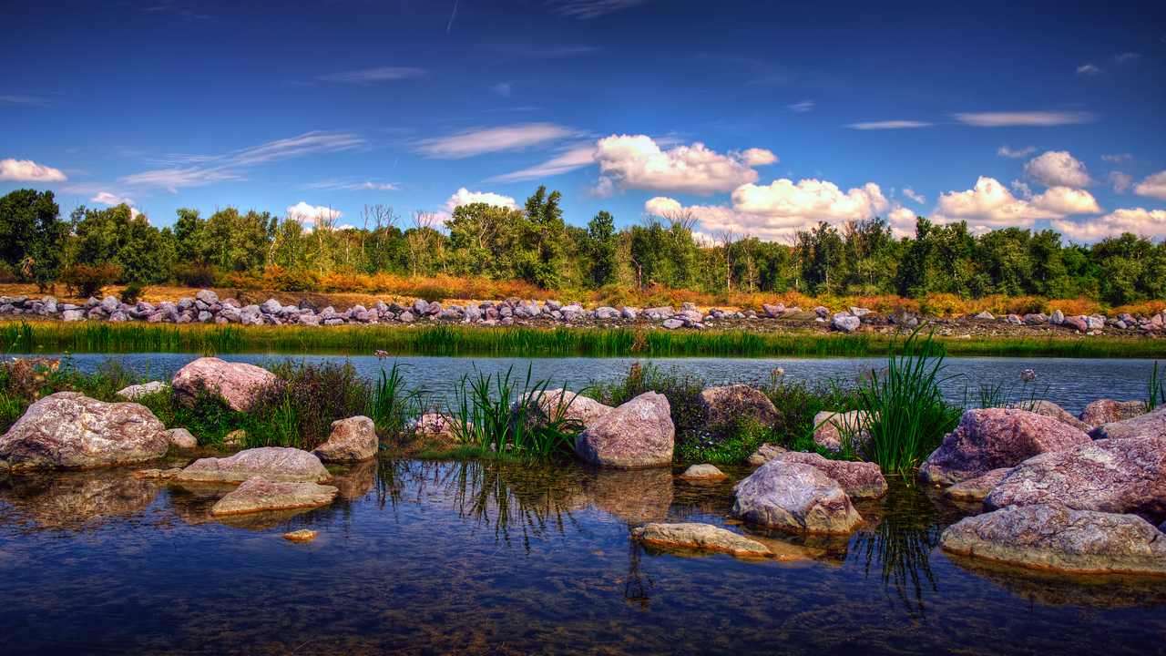 

Картина на холсте 60x110 LinxOne "Природа, пейзаж, натура, флора