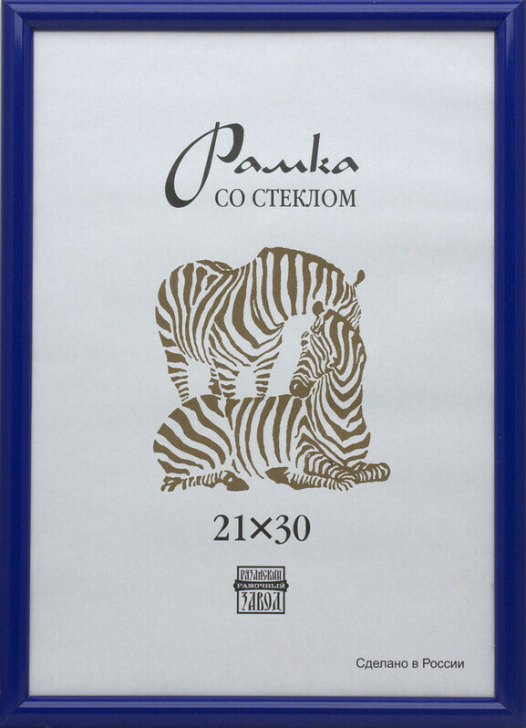 

Рамка пластиковая Зебра А4 504 (синий)